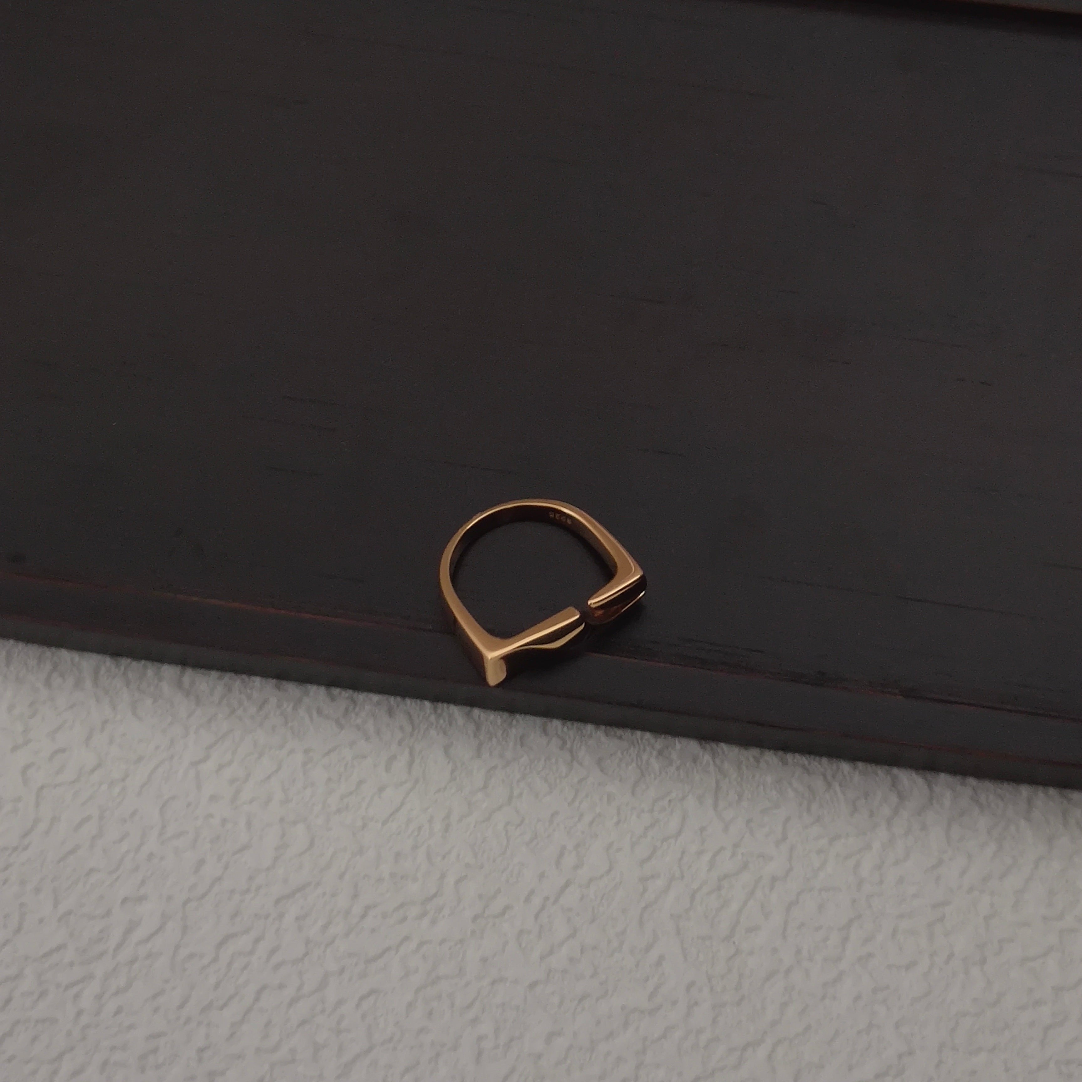 NO.19 RING（Silver has been removed from the shelves）